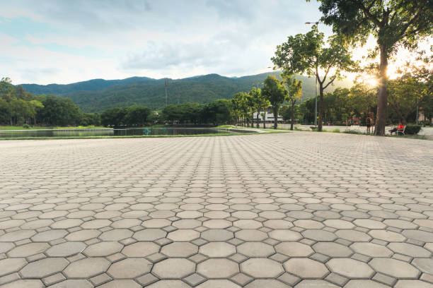 Professional Driveway Pavers in Lakeport, TX